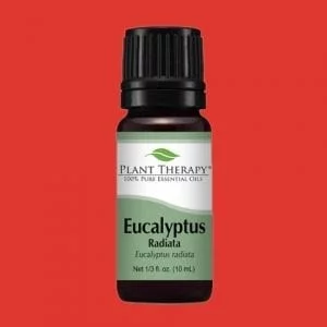 Eucalyptus Radiata er mildara afbrigði af Eucalyptus ilminum